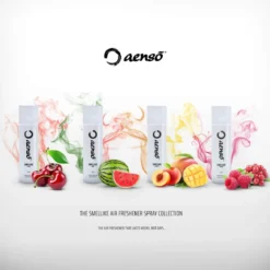 Aensō SMELLIKE Lufterfrischer ANIMATE 500ml
