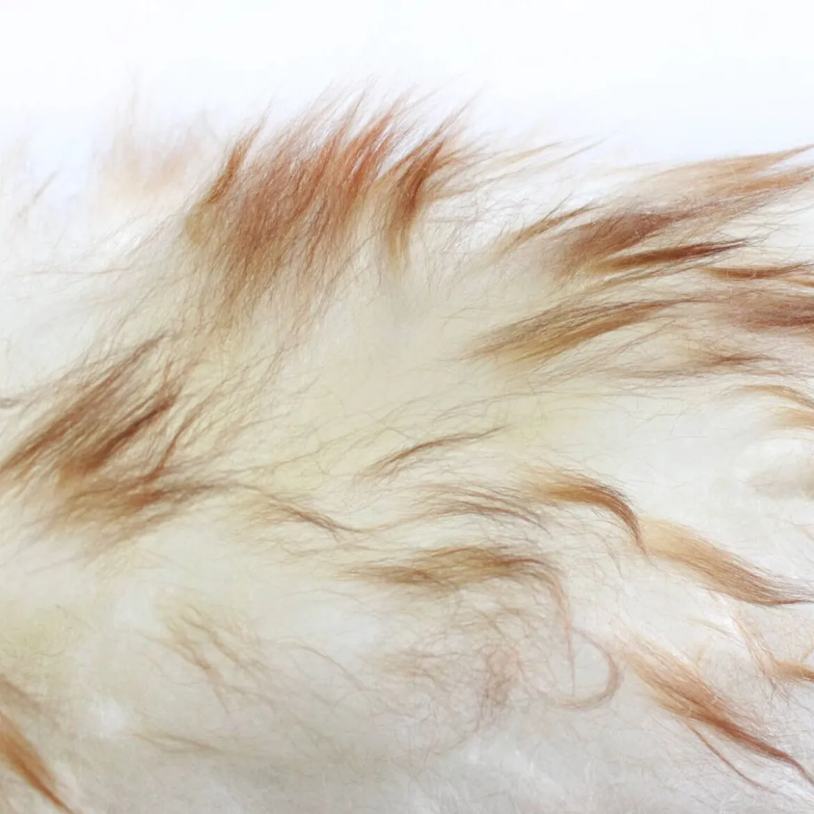 chemicalworkz Lambswool Duster Staubwedel