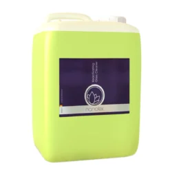 Nanolex Reactivating Glass Cleaner 5L