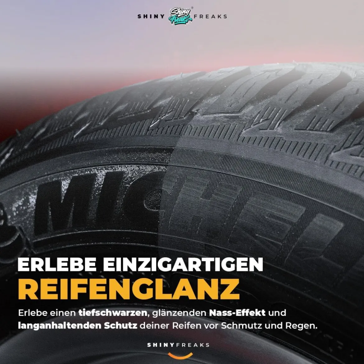 Soft99 Reifenpflege Set 4-X Tire Cleaner + Zubehör (5-teilig)