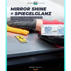 Soft99 Wachs Set Mirror Shine Light + Zubehör (6-teilig)