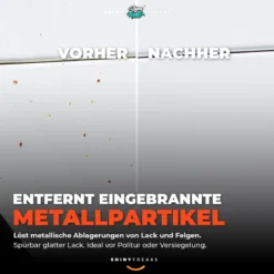 SONAX Lackreiniger Set FlugrostEntferner 750ml + Zubehör (4-teilig)